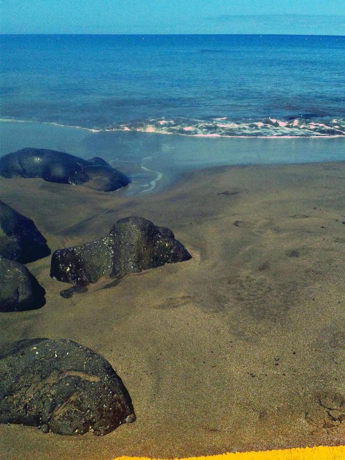 Apartamento A 1 Minuto De La Playa De Sardina Las Palmas Buitenkant foto